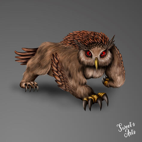 Owl Bear